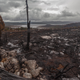 Illustration for article titled A Global Tragedy Is Unfolding In Tasmania